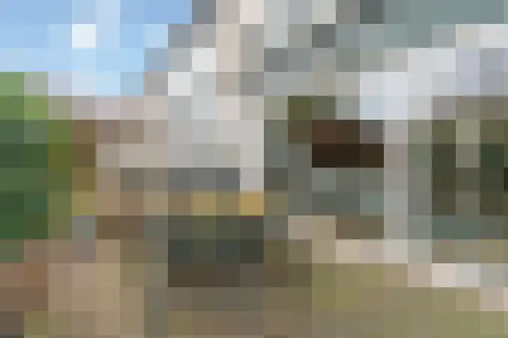 Lieshoutstraat 90 Arnhem thumbnail 50