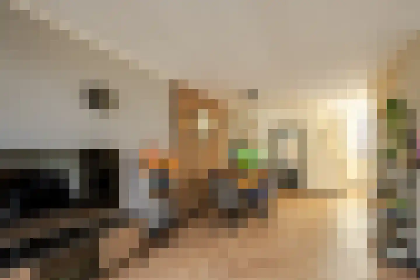 Lieshoutstraat 92 Arnhem thumbnail 10