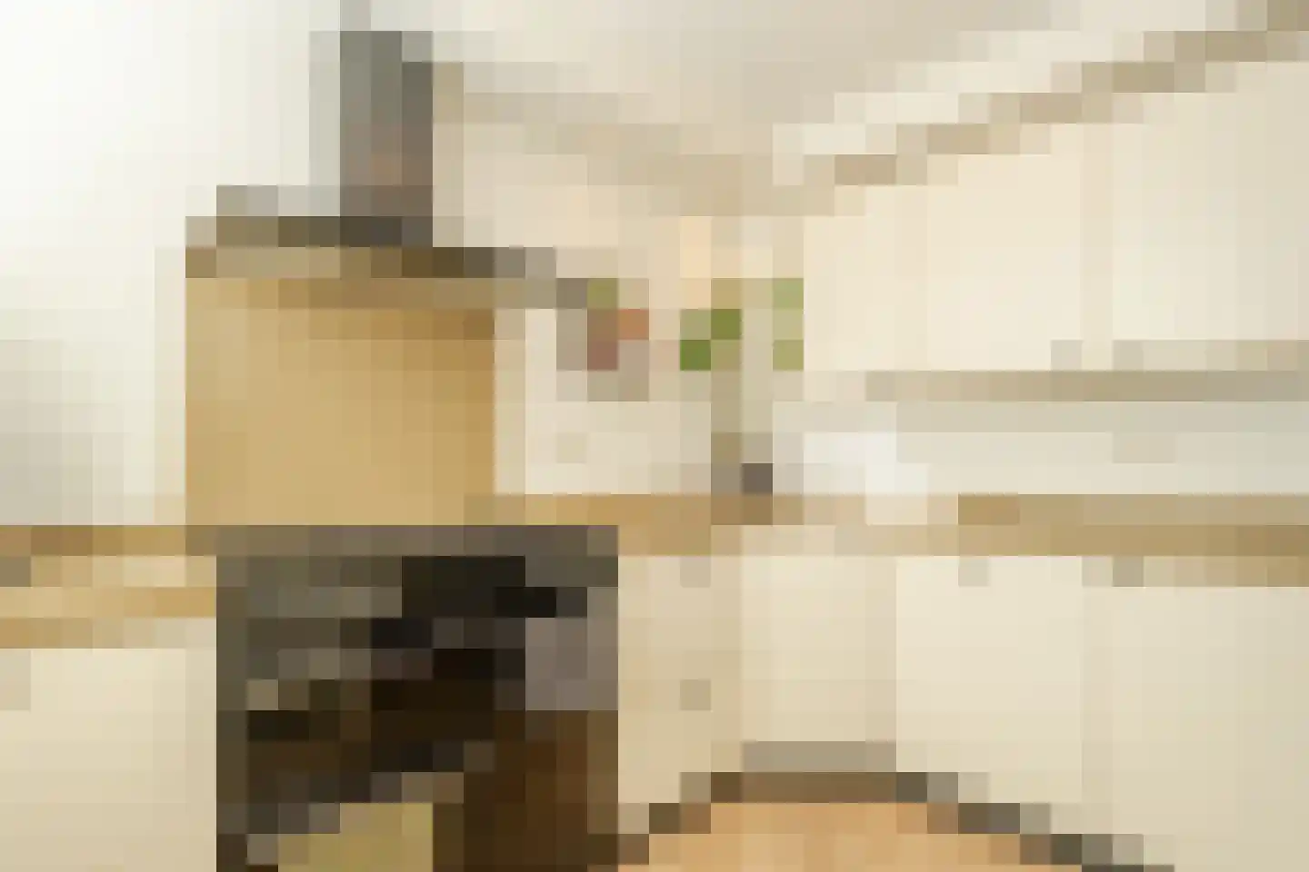 Lieshoutstraat 92 Arnhem thumbnail 12
