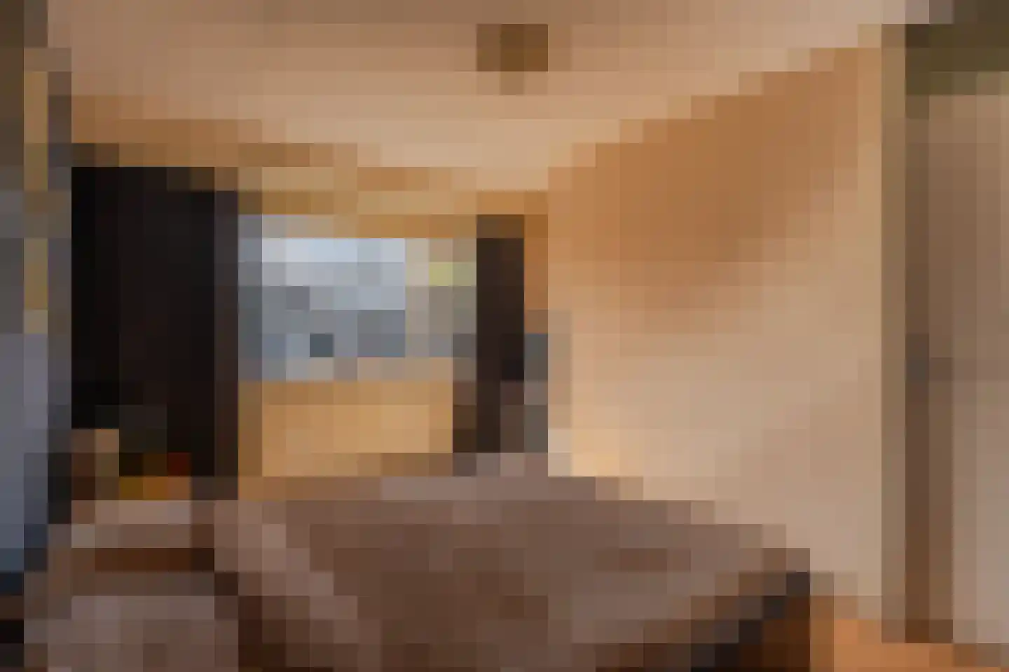 Lieshoutstraat 92 Arnhem thumbnail 19