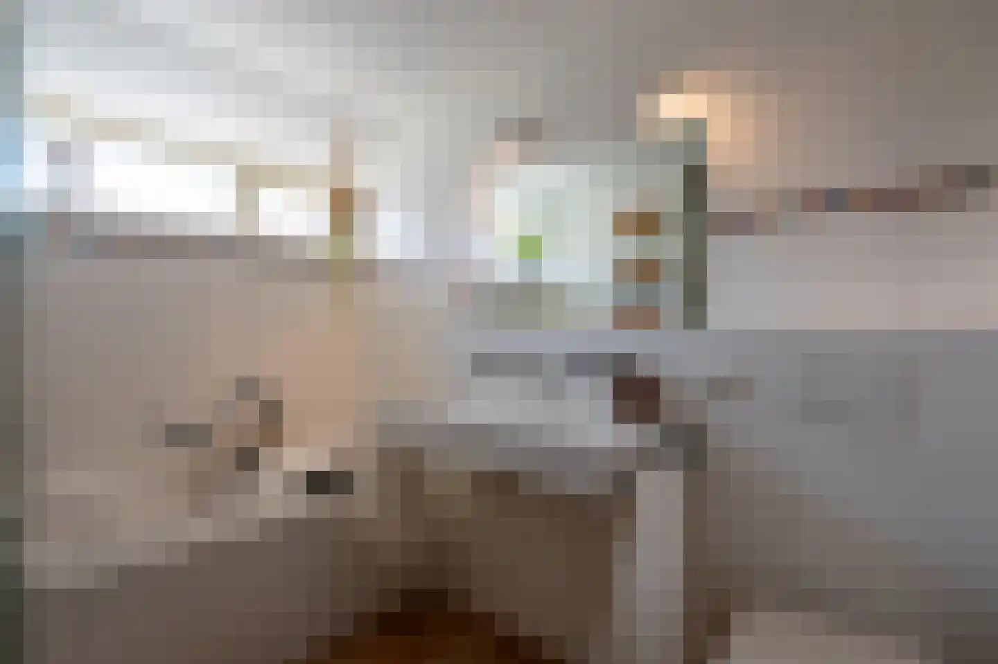 Lieshoutstraat 92 Arnhem thumbnail 22