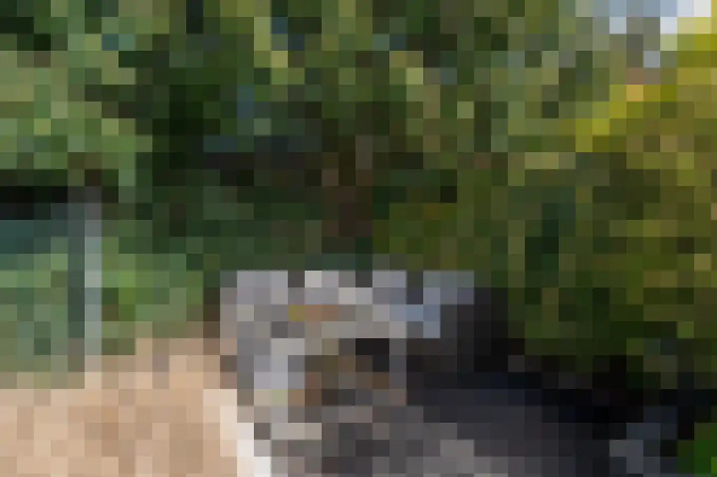 Lieshoutstraat 92 Arnhem thumbnail 35