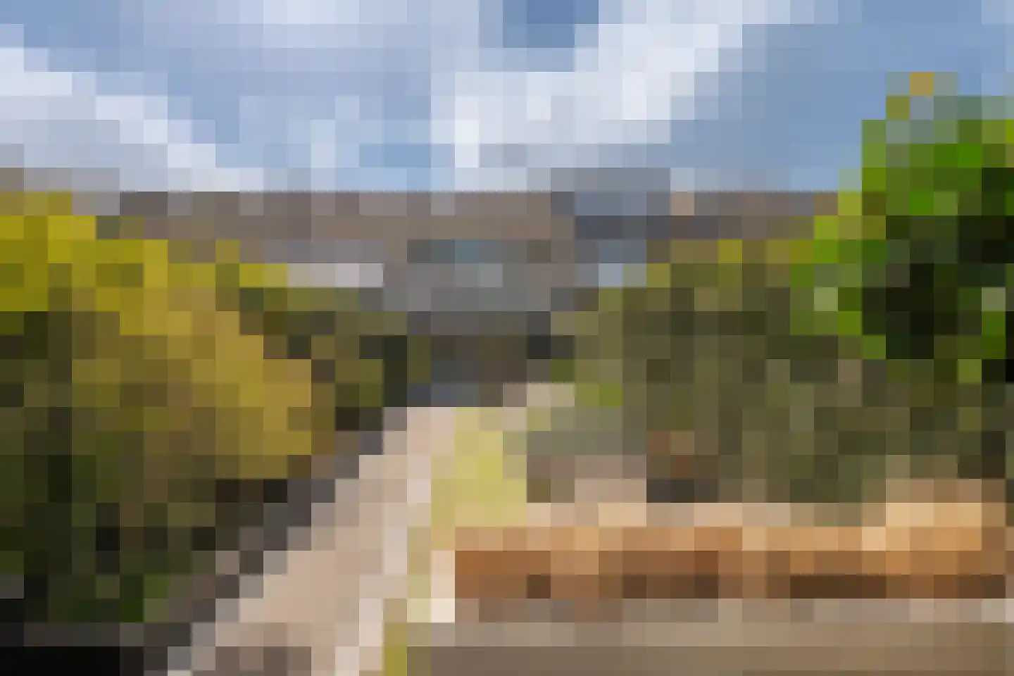 Lieshoutstraat 92 Arnhem thumbnail 37