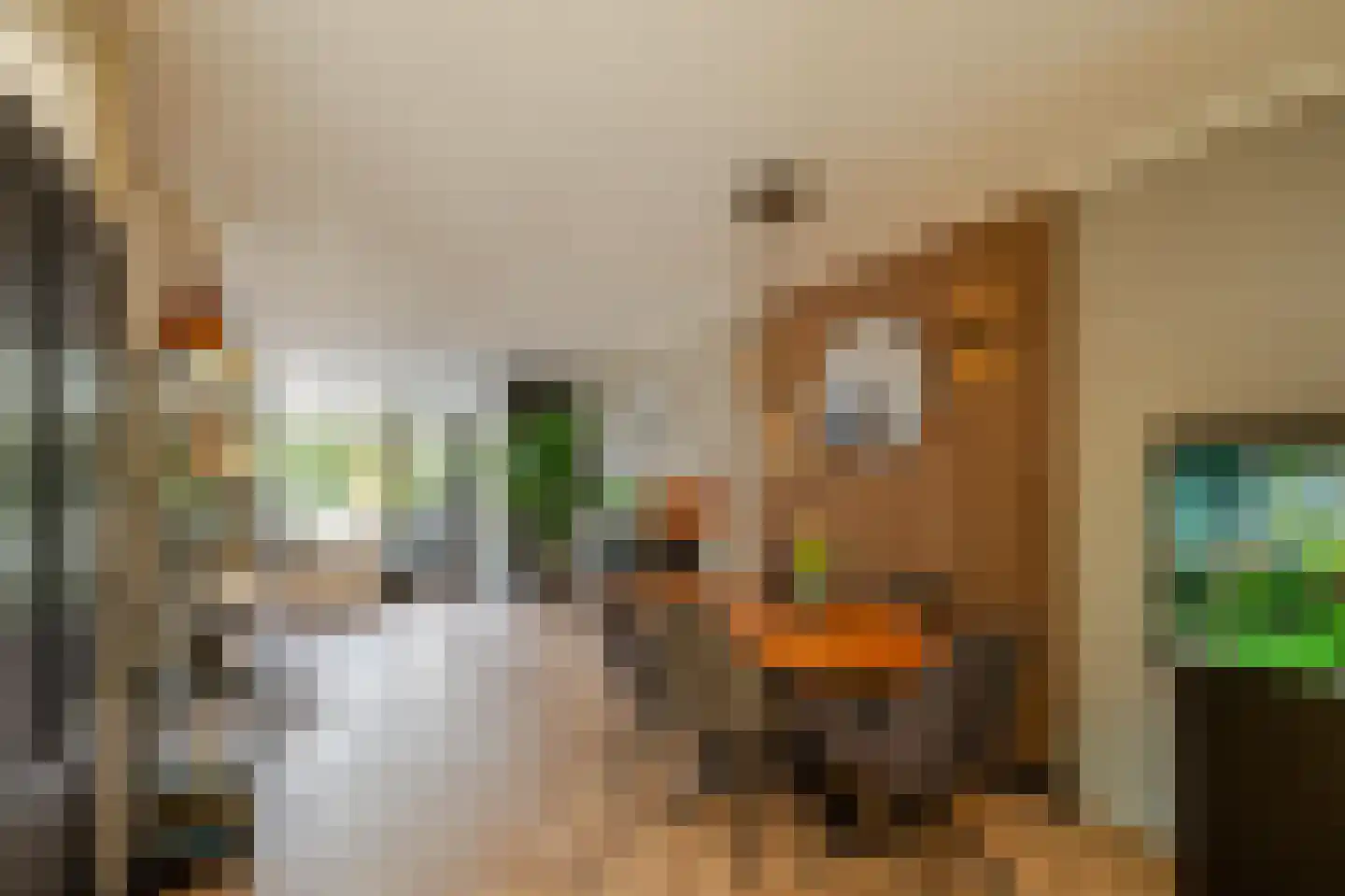 Lieshoutstraat 92 Arnhem thumbnail 6
