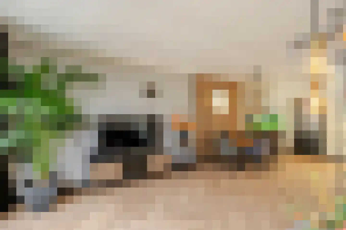 Lieshoutstraat 92 Arnhem thumbnail 7
