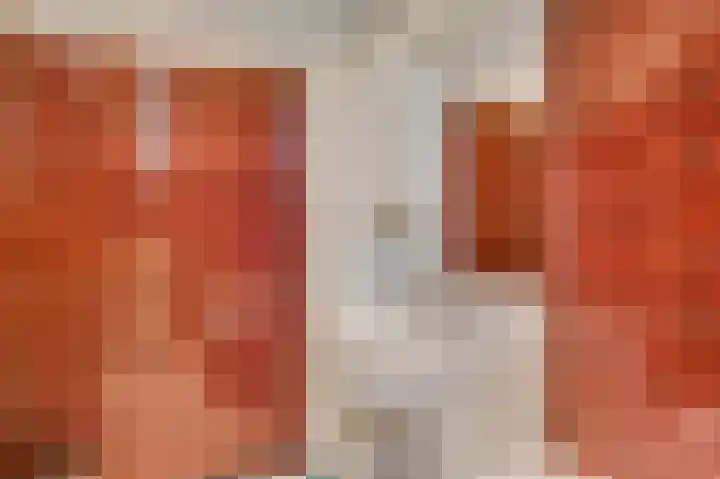Liesjeshoek 32 Leveroy thumbnail 19