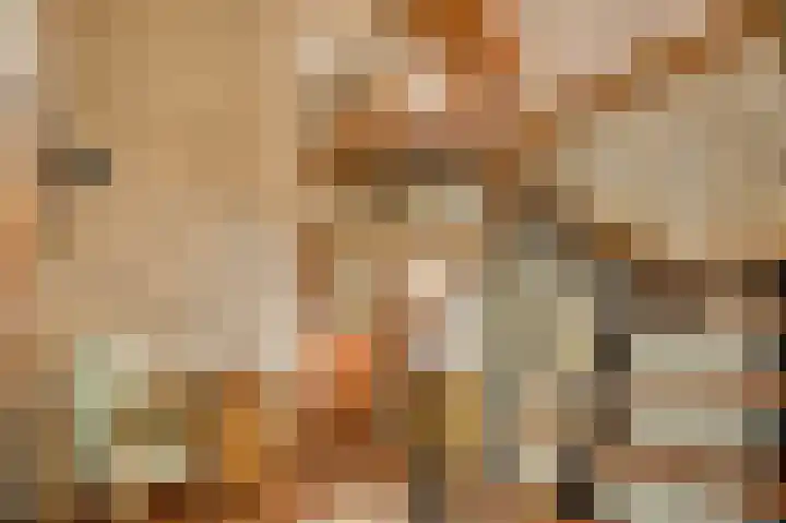Liesjeshoek 32 Leveroy thumbnail 22