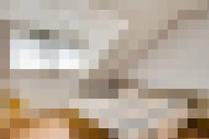 Liesjeshoek 32 Leveroy thumbnail 26