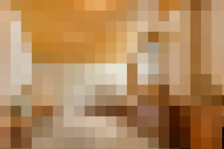 Liesjeshoek 32 Leveroy thumbnail 27