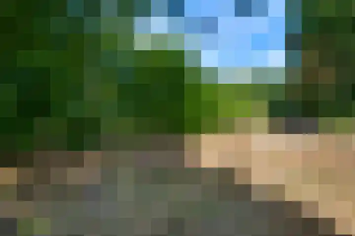 Liesjeshoek 32 Leveroy thumbnail 35