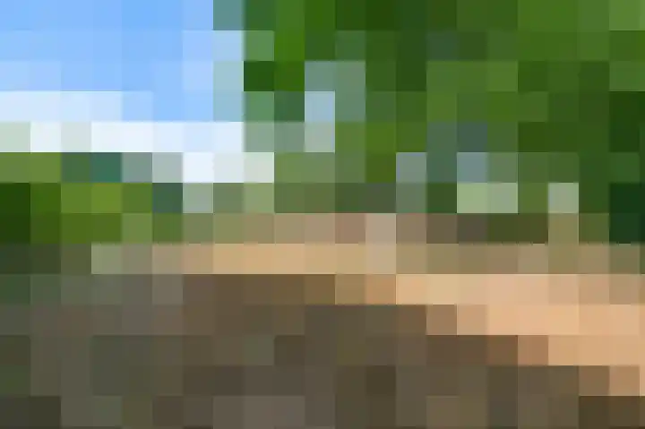 Liesjeshoek 32 Leveroy thumbnail 36