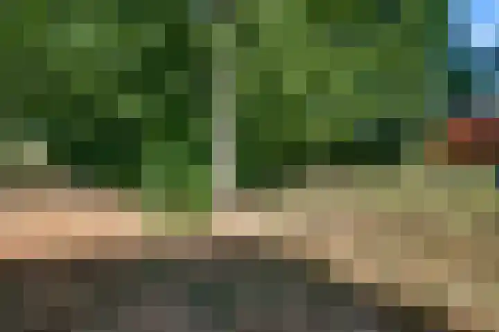 Liesjeshoek 32 Leveroy thumbnail 37