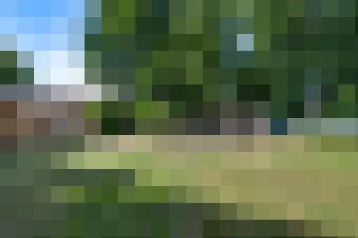 Liesjeshoek 32 Leveroy thumbnail 38