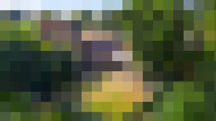 Liesjeshoek 32 Leveroy thumbnail 39