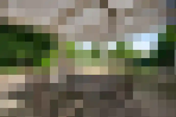 Liesjeshoek 32 Leveroy thumbnail 41