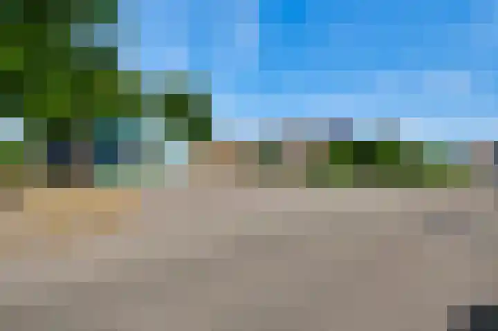 Liesjeshoek 32 Leveroy thumbnail 45