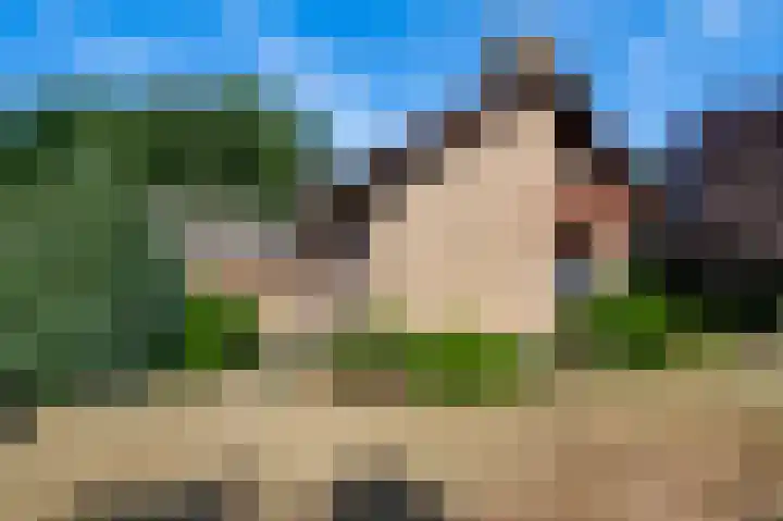 Liesjeshoek 32 Leveroy thumbnail 46