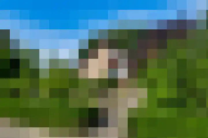 Liesjeshoek 32 Leveroy thumbnail 47