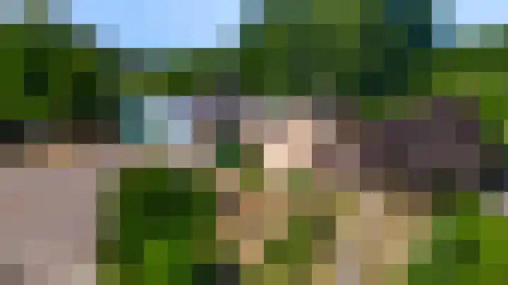 Liesjeshoek 32 Leveroy thumbnail 48
