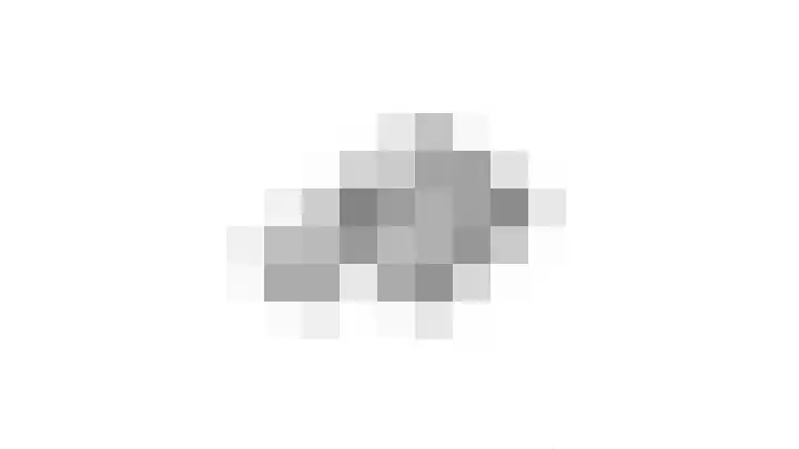 Liesjeshoek 32 Leveroy thumbnail 60