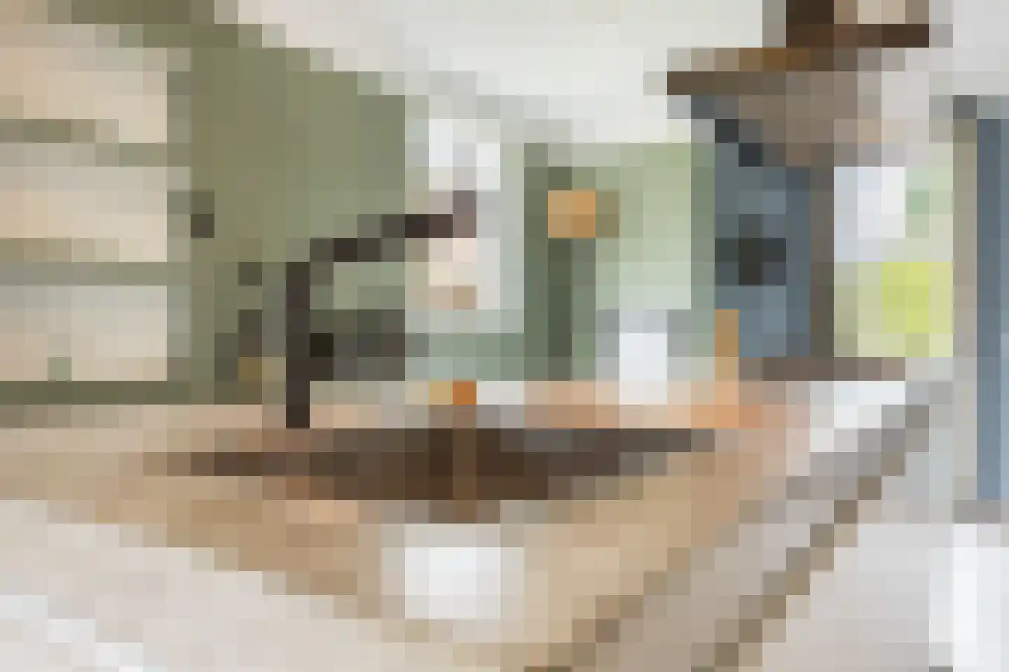 Liesmortel 1 b Sint Agatha thumbnail 12
