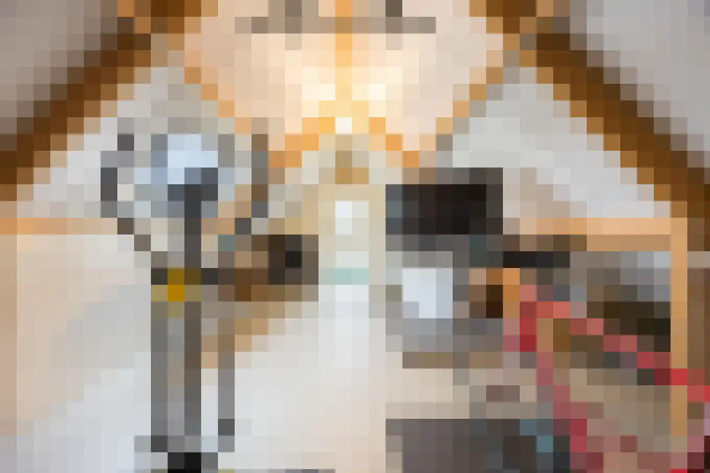 Liesmortel 1 b Sint Agatha thumbnail 25