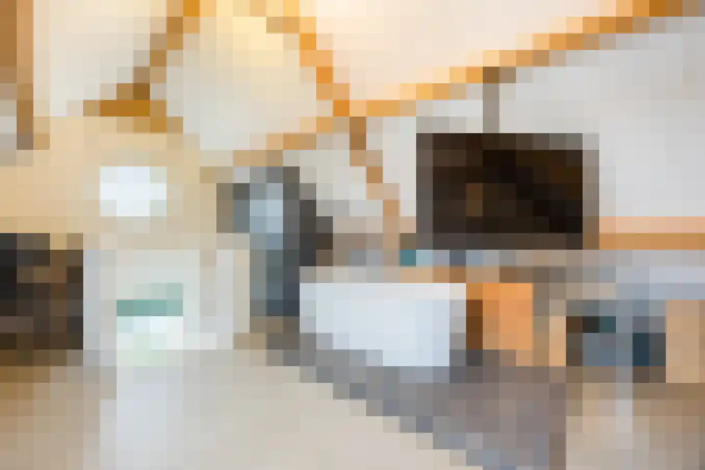 Liesmortel 1 b Sint Agatha thumbnail 26