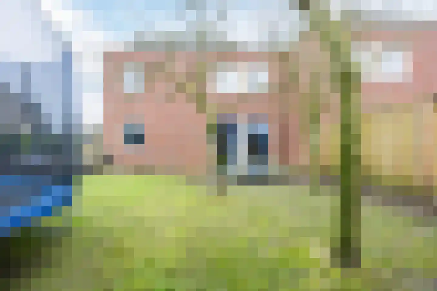 Liesmortel 1 b Sint Agatha thumbnail 28