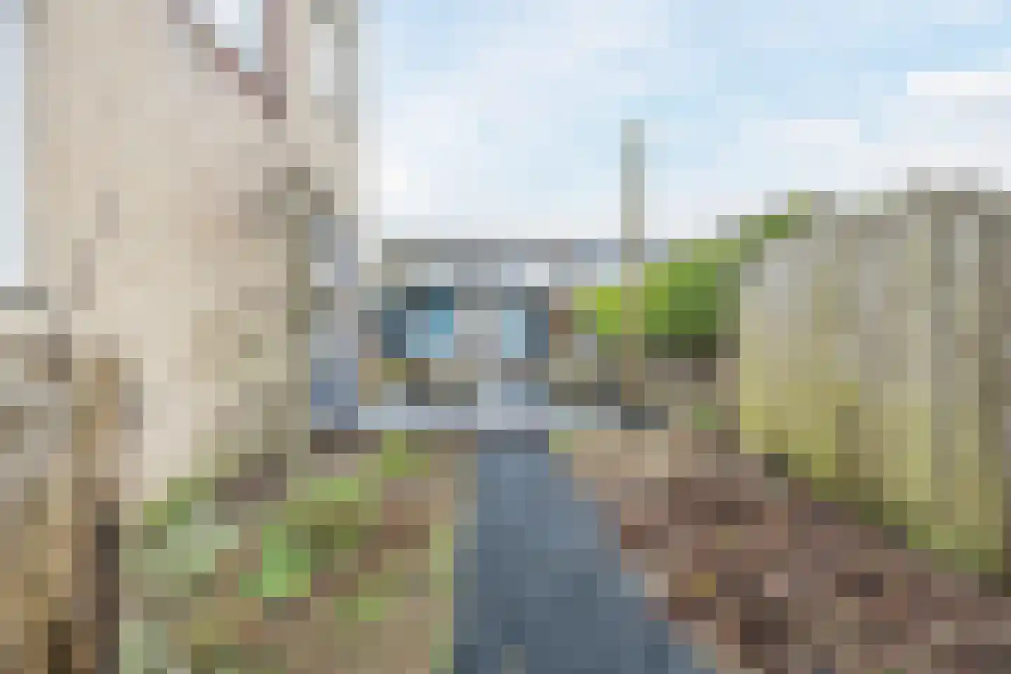 Liesmortel 1 b Sint Agatha thumbnail 30