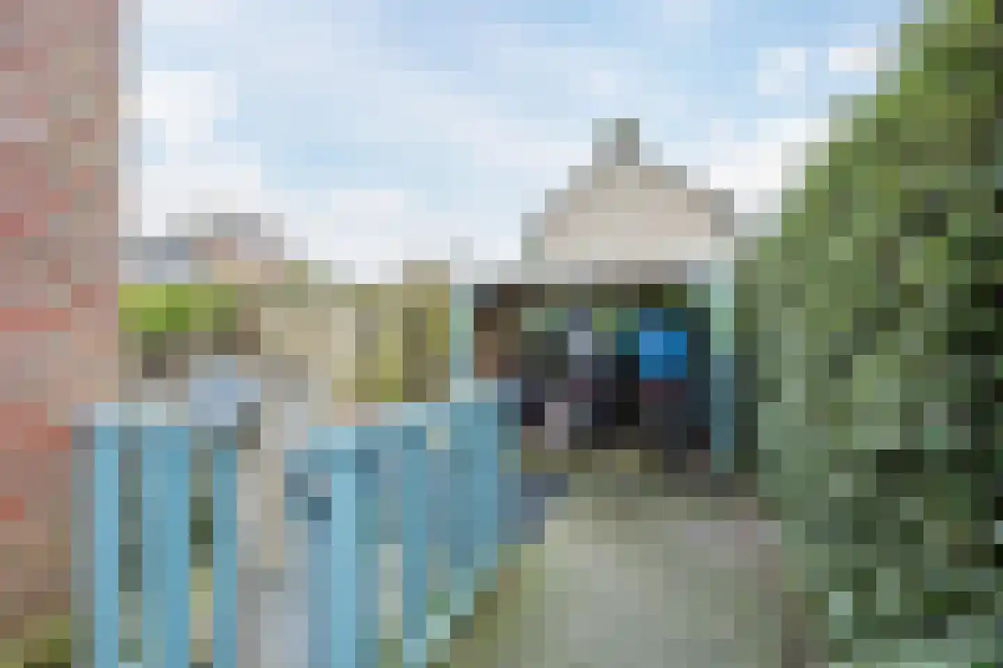 Liesmortel 1 b Sint Agatha thumbnail 31