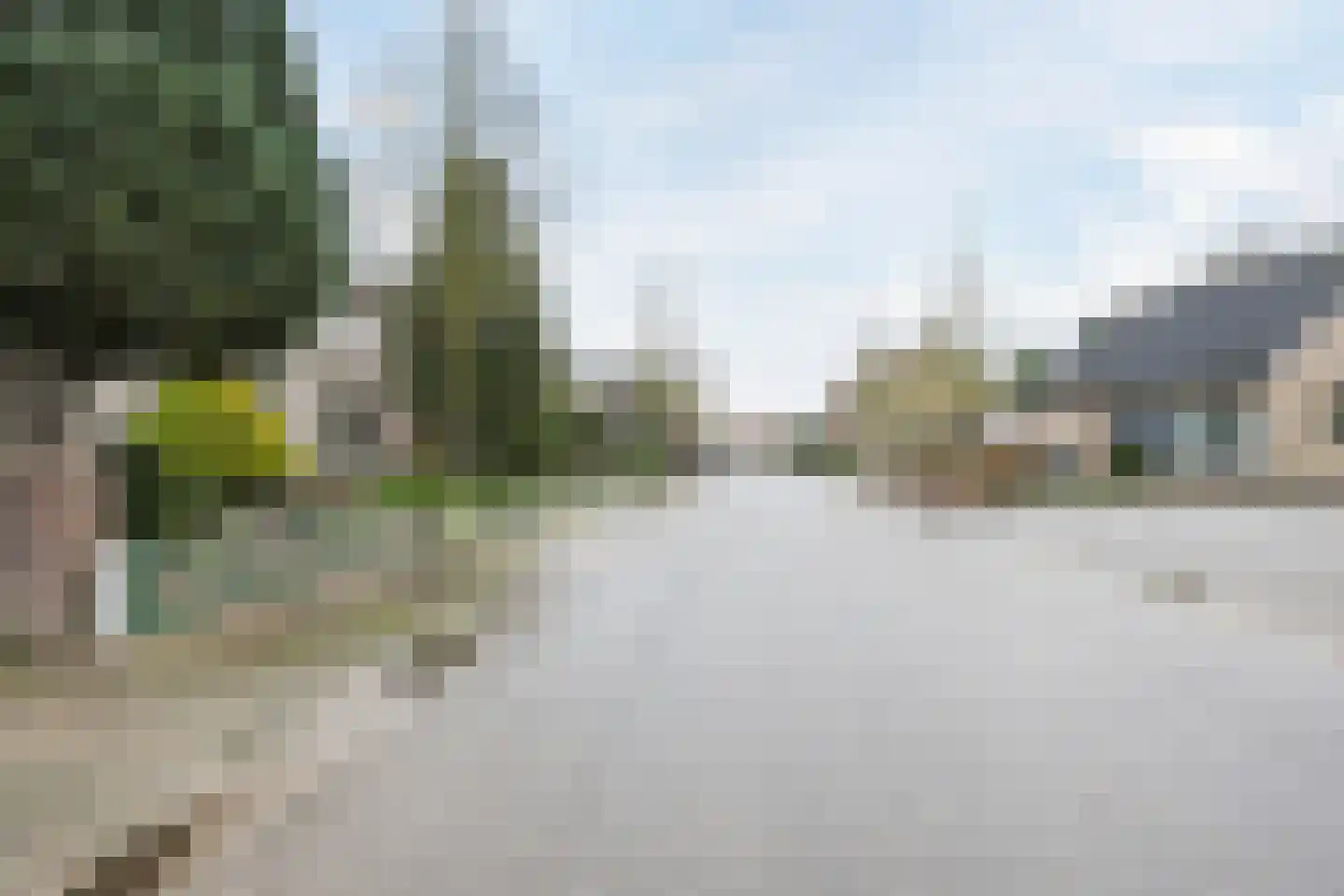 Liesmortel 1 b Sint Agatha thumbnail 32