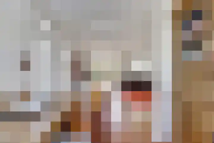 Liesmortel 13 c Sint Agatha thumbnail 12
