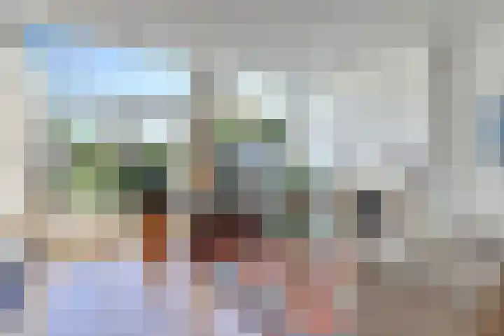 Liesmortel 13 c Sint Agatha thumbnail 17