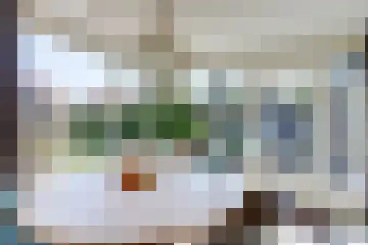 Liesmortel 13 c Sint Agatha thumbnail 22