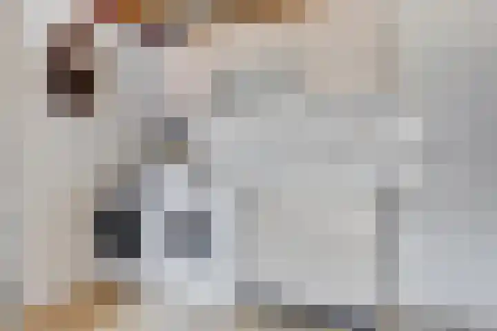 Liesmortel 13 c Sint Agatha thumbnail 23