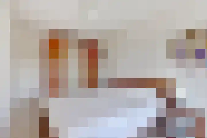 Liesmortel 13 c Sint Agatha thumbnail 26