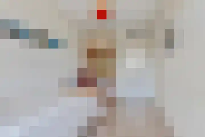 Liesmortel 13 c Sint Agatha thumbnail 28
