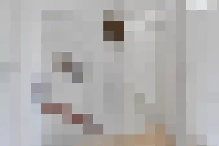 Liesmortel 13 c Sint Agatha thumbnail 33
