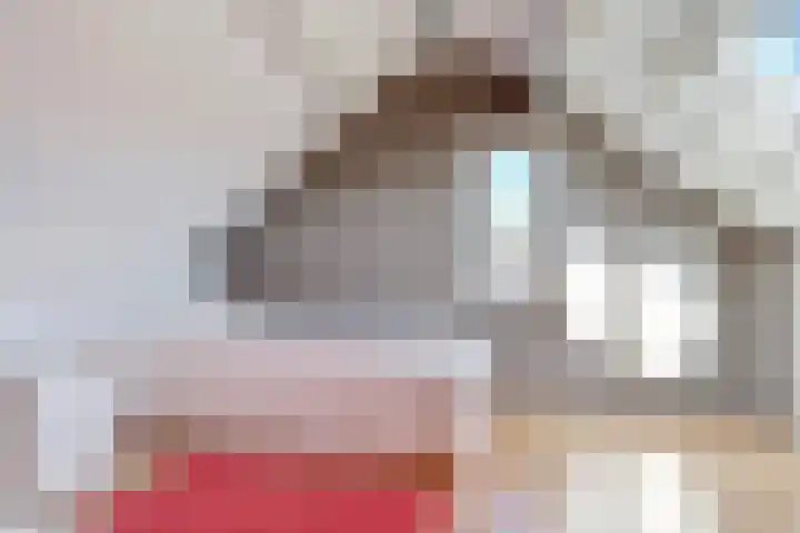 Liesmortel 13 c Sint Agatha thumbnail 36