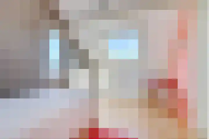 Liesmortel 13 c Sint Agatha thumbnail 37