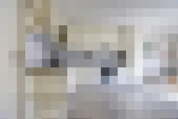 Liesmortel 13 c Sint Agatha thumbnail 4