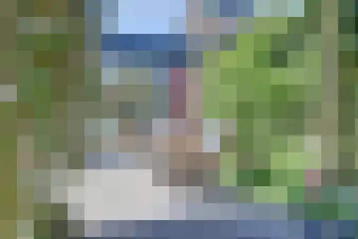 Liesmortel 13 c Sint Agatha thumbnail 43