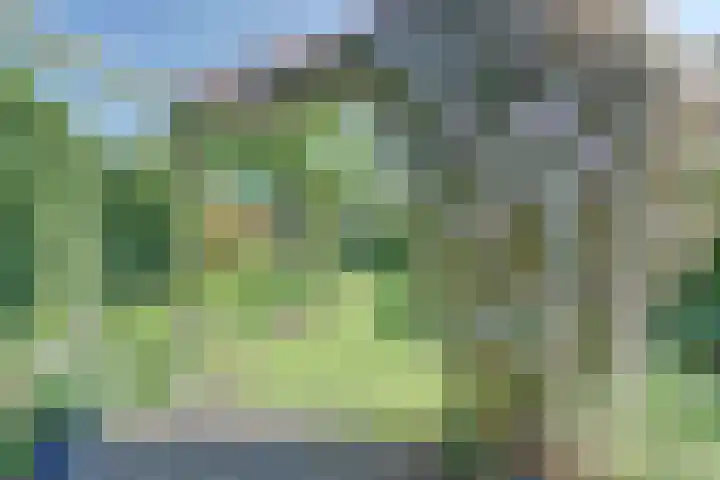Liesmortel 13 c Sint Agatha thumbnail 47