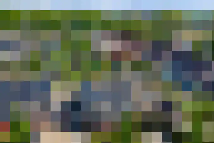 Liesmortel 13 c Sint Agatha thumbnail 5