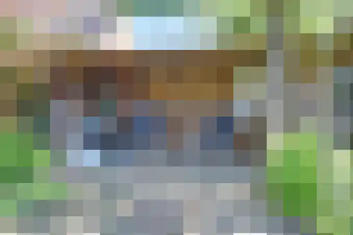 Liesmortel 13 c Sint Agatha thumbnail 51