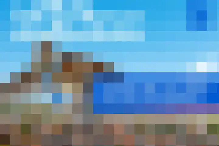 Liesmortel 13 c Sint Agatha thumbnail 55
