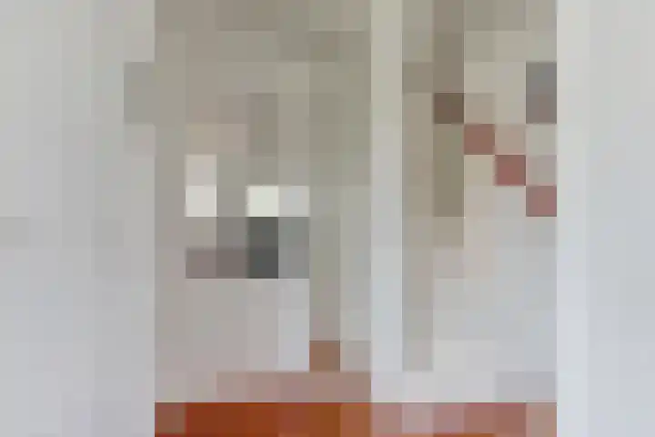 Liesmortel 13 c Sint Agatha thumbnail 7