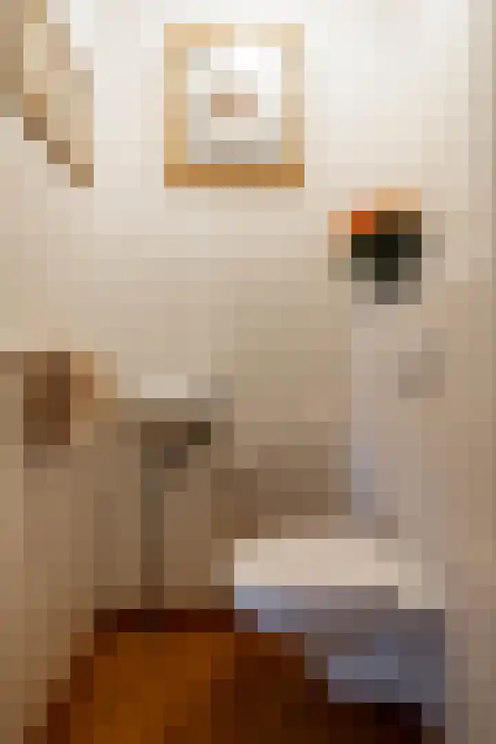 Liester 12 Roden thumbnail 10