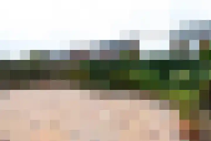 Liester 12 Roden thumbnail 23