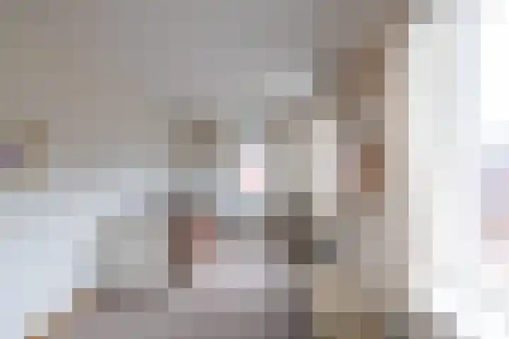 Liester 12 Roden thumbnail 25
